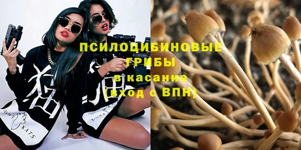 индика Наволоки