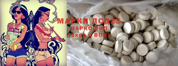 индика Наволоки