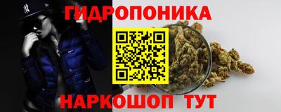 спиды Берёзовский