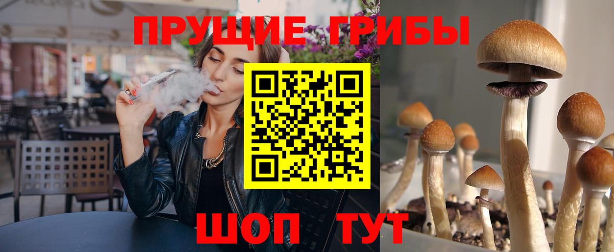 Галлюциногенные грибы ЛСД Кинешма